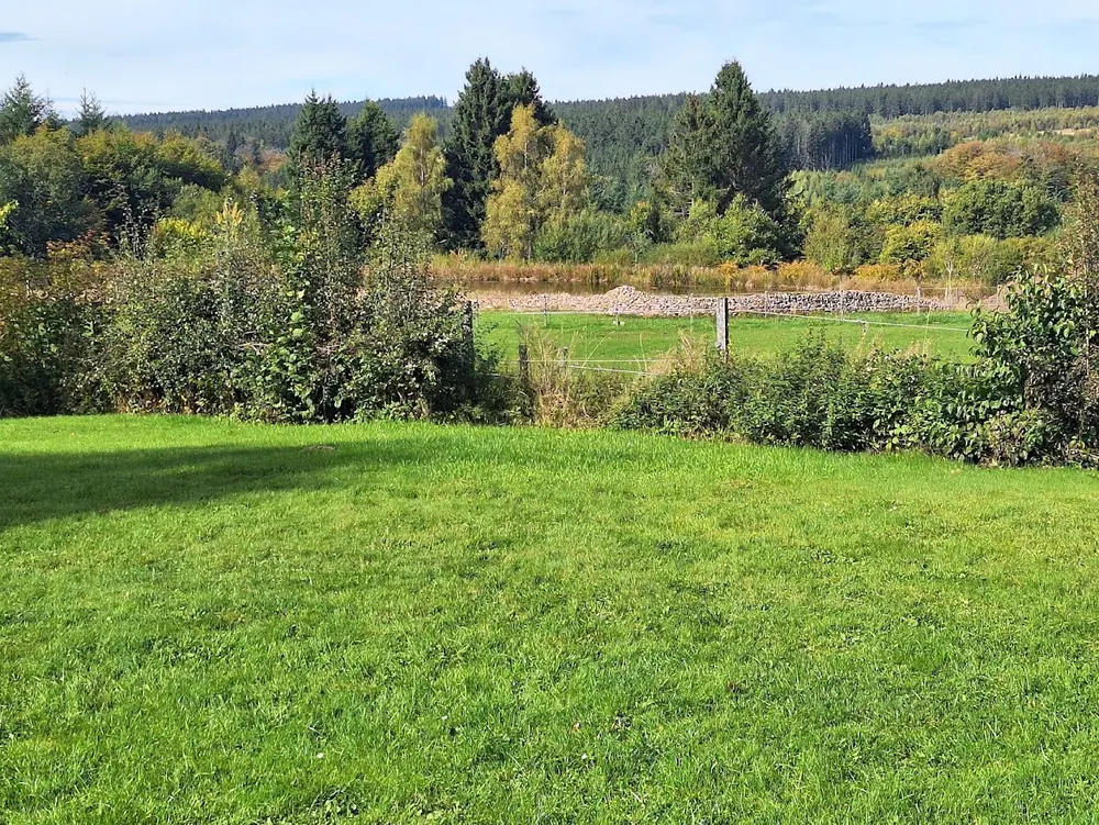Paysage des Hautes Fagnes pour une journée yoga rando ressourçante