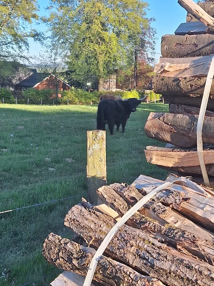 Moment de recentrage au cœur de la nature